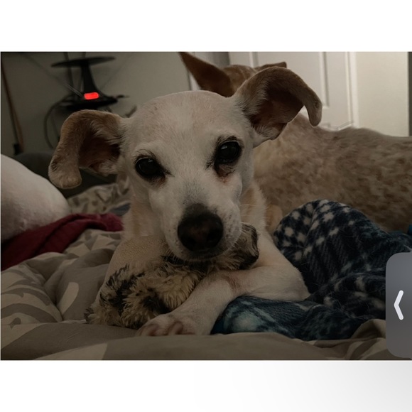 Meet your Posher, Deana - Picture 12 of 16